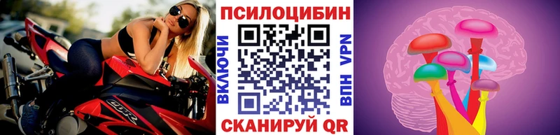 ОМГ ОМГ ССЫЛКА Кизел Псилоцибиновые грибы ЛСД
